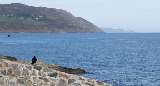 The sea and cliffs off Bray Head viewed from Greystones.