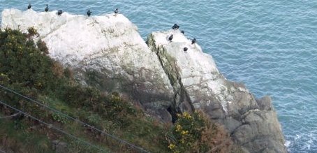 Look out for the shag and cormorant seabirds on the rocks.