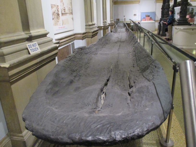 A large unfinished oak dugout canoe from ~2500 BCE National Museum Ireland Archaeology Dublin