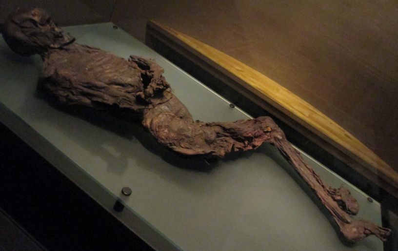 Iron Age Gallagh Man is dated to 400 - 200 BCE National Museum Ireland Archaeology Dublin