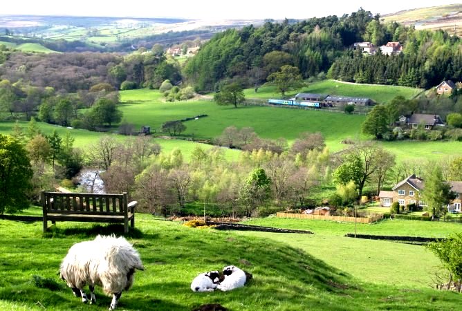 Location 08c: Two coach diesel multiple unit train approaching Castleton Station from Commondale.