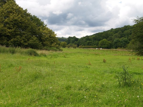 Helmsley - Rievaulx walk