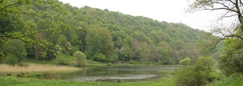 There are four tiered fish ponds built by the monks