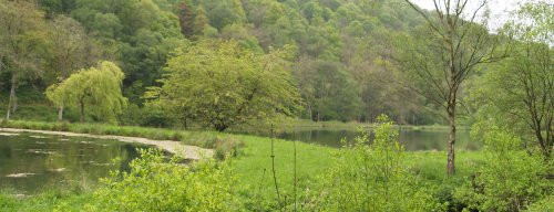 There are four tiered fish ponds built by the monks