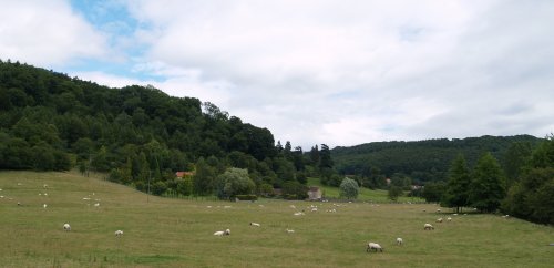 The rich farmland of the eastern limit of the Vale of York in which the Abbey is set.