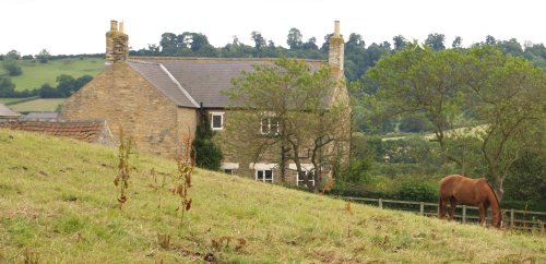 Coxwold Park House