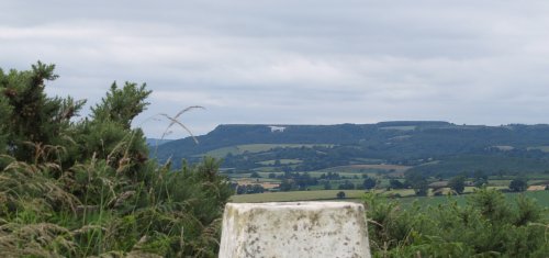 The White Horse of Kilburn seen from Beacon Banks and the old 'trig' point at the 434 ft summit!).