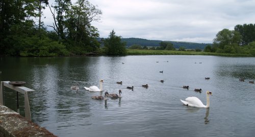 the lake in the grounds below it