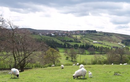 Castleton on the ridge, viewed from the Castleton-Danby path through Park Wood.