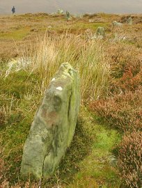 Remains of an ancient field wall above Westerdale village