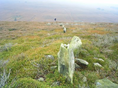 Remains of an ancient field wall above Westerdale village