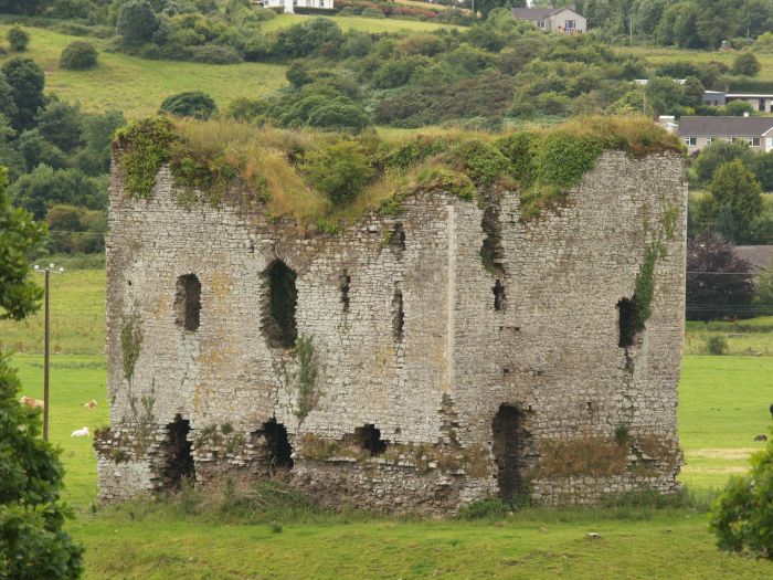 Grennan Castle