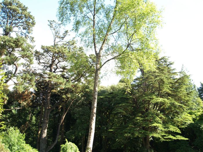 Woodstack Gardens & Arboretum