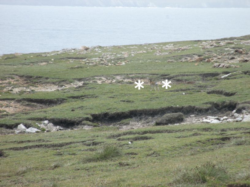 Erris Head Loop Walk, Belmullet Peninsula