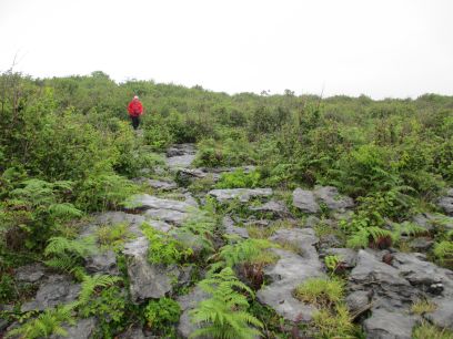 Black Head Loop Walk, Fanore, The Burren