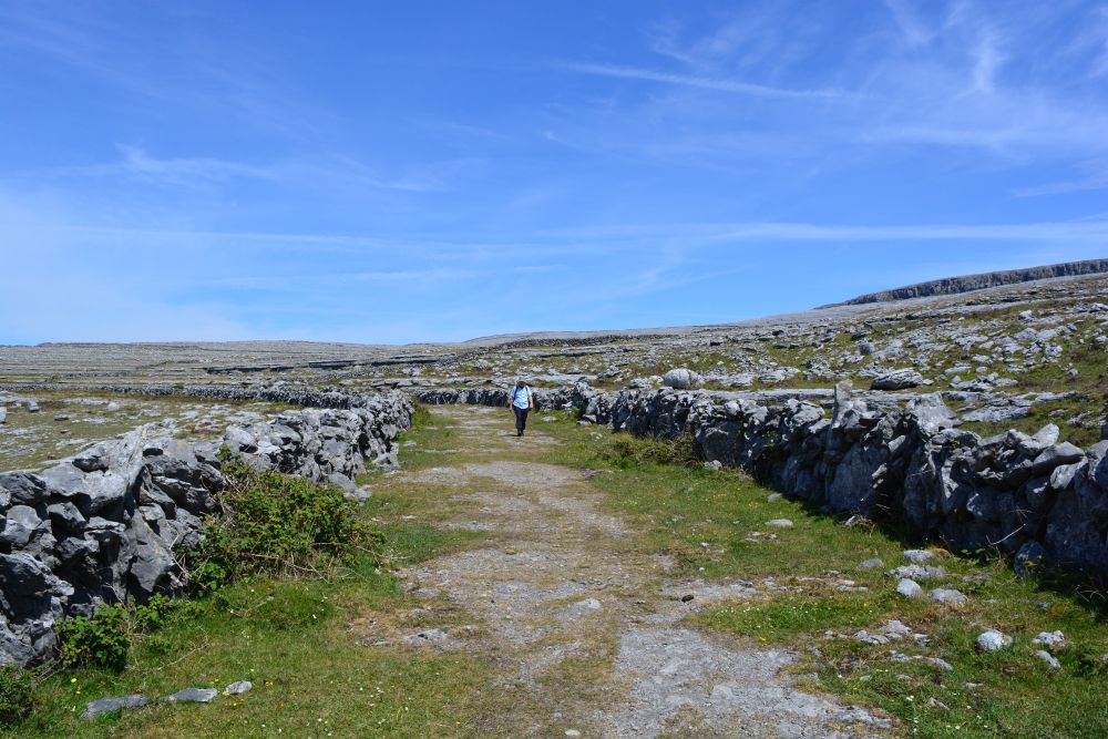 Black Head Loop Walk, Fanore, The Burren