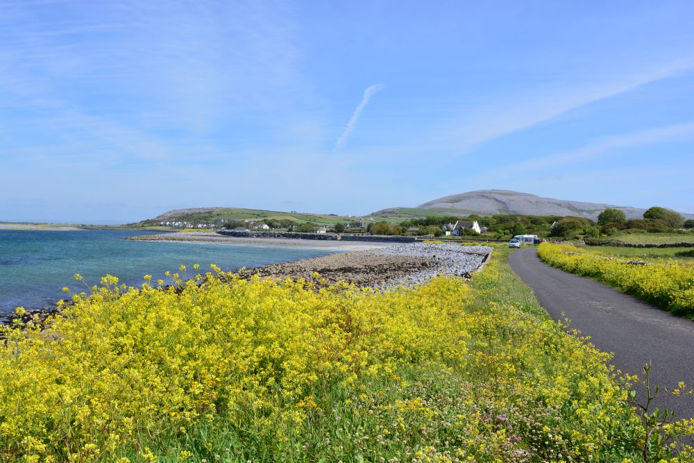 Flaggy Shore, Russell Gallery & Cafe, Co. Clare