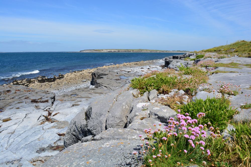Flaggy Shore, Russell Gallery & Cafe, Co. Clare