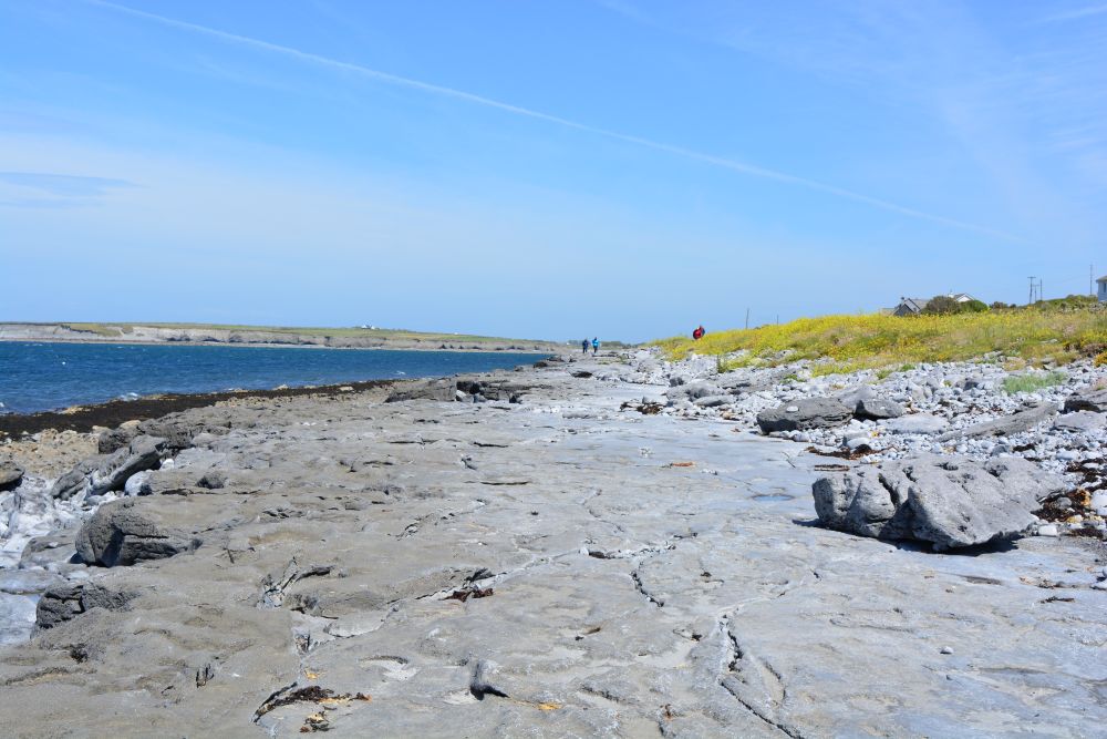 Flaggy Shore, Russell Gallery & Cafe, Co. Clare