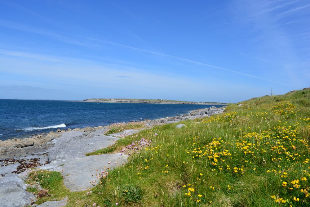Flaggy Shore, Russell Gallery & Cafe, Co. Clare