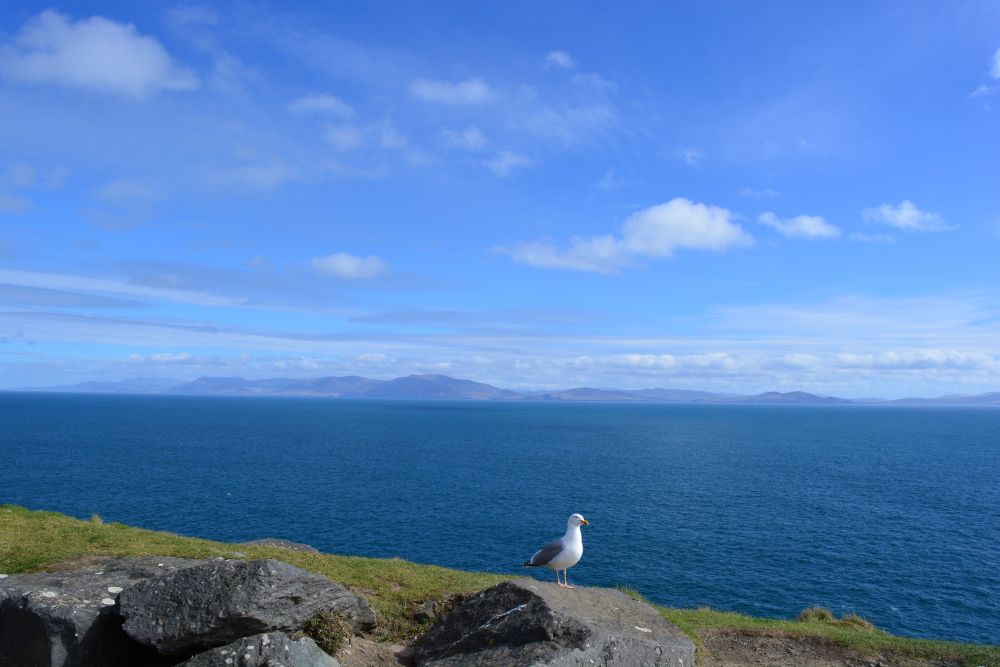 Slea Head Drive - Wild Atlantic Way