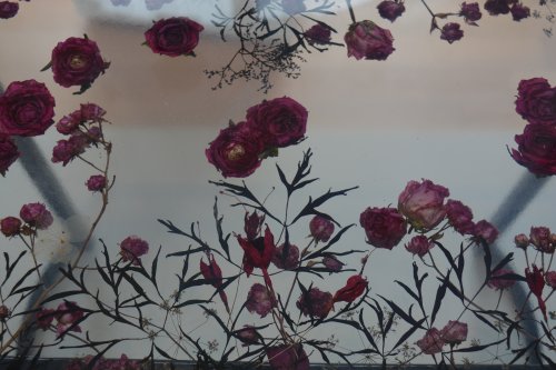 Kilkenny National Craft Gallery