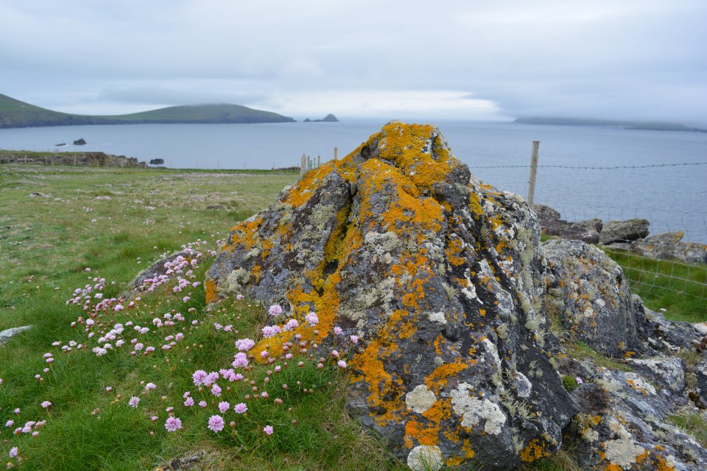 Slea Head Drive
