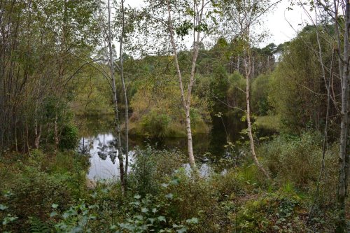 Glengarriff, West Cork, Ireland