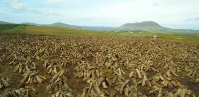Stacks of good Irish peat-turf ...