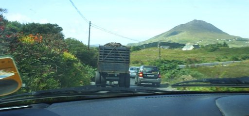 .... which caused on of the few traffic hold-ups outside of Dublin. However, plenty for the passengers to admire and aid ones patience e.g. Tully Mountain (right) and wild flowers (left)!
