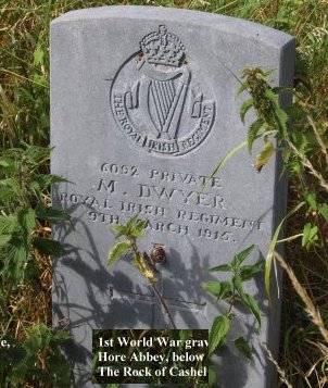 A 1st World War grave left neglected in the nettles beside Hore Abbey.