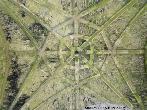 The amazing original medieval stone vaulting in Hore Abbey.