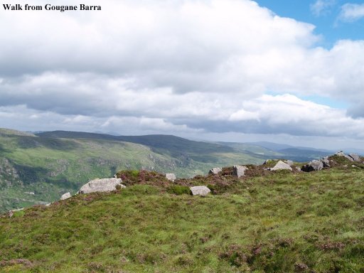 On the hills above Gougane Barra.