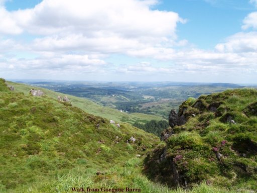 On the hills above Gougane Barra.