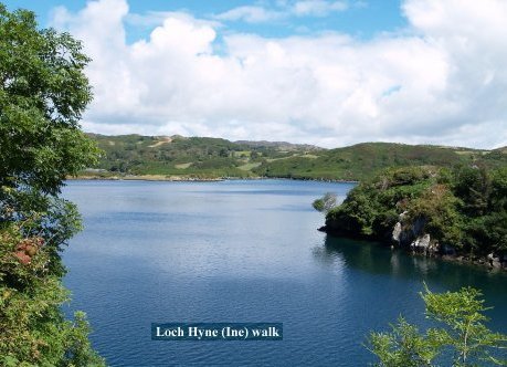Lough Hyne is a semi-enclosed marine lake of very special place of scientific interest. It was once a freshwater lake until about 4000 years ago when a rise in sea level joined it to the sea.