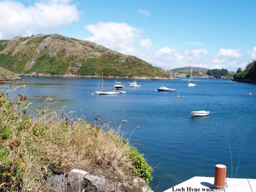Between Lough Hyne and the sea is a small natural harbour. The entrance of the tidal flow of the river 'rapids' in/out of Loch Hyne can just be seen on the top left, the sea is to the right.