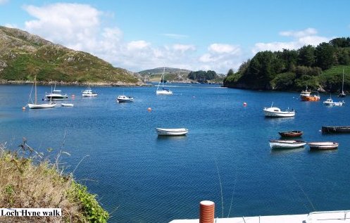 The natural harbour between the sea (off picture right) and the 'rapids' to Lough Hyne (off picture left) provides a very sheltered and safe haven for yacht these days rather than fishing boats.