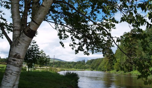 You can walk along the banks of the beautiful River Nore. - Inistioge, County Kilkenny, Ireland