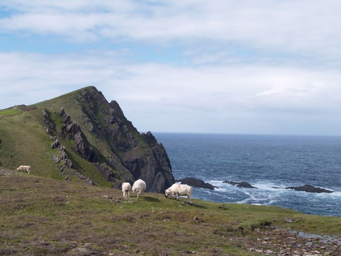  - The Three Sisters Walk near Ballyferriter, Dingle Peninsular, Co. Kerry, West of Ireland