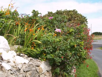 Achill Island, Co. Mayo, Ireland