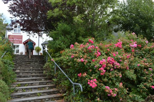 Hungry Hill Gallery, Beara