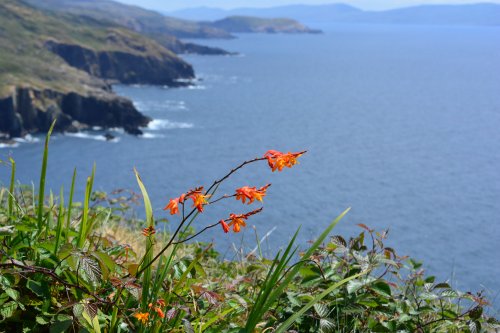 Buddhist Temple at Dzogchen Beara