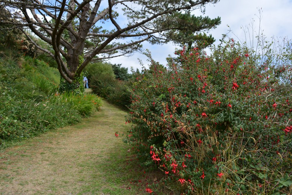 Buddhist Temple at Dzogchen Beara