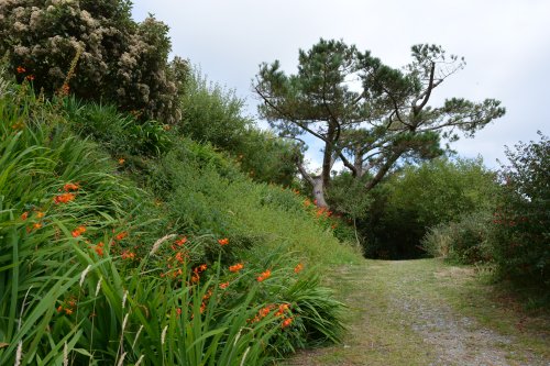 Buddhist Temple at Dzogchen Beara
