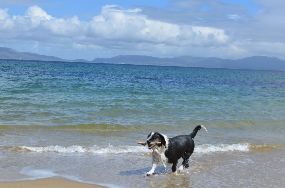 Old Head beach coast walk near Louisburgh