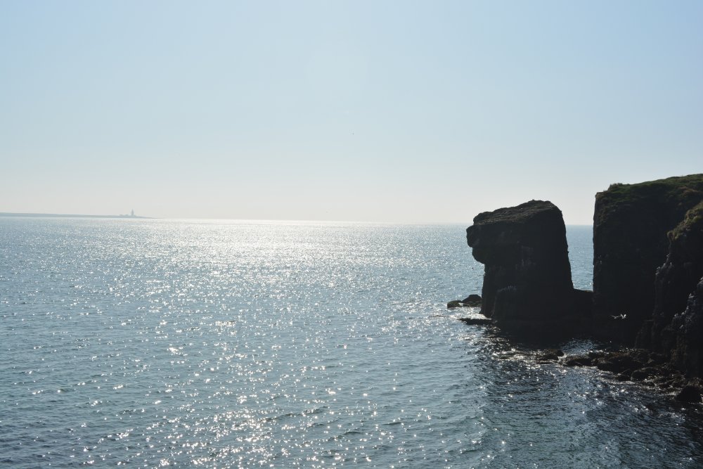 The cliffs near Dunmore East Harbour, Hooke Head lighthouse in the distance, Co. Waterford, Ireland