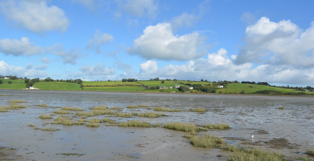 Timoleague to Courtmacsherry estuary nature walk Co. Cork West of Ireland