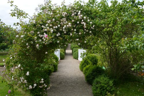 Colclough Walled Garden, Tintern, Co. Wexford 