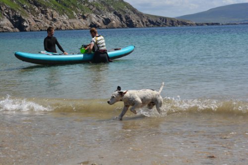 Kayakers canoeing and dog playing in the sea at Keem Beach, Achill Island, Co. Mayo, Ireland