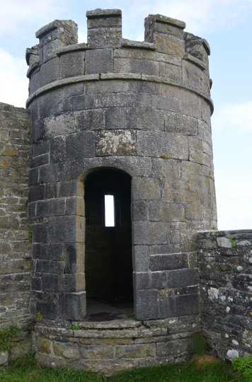 Turret tower in grounds of Carrigaholt Castle, Co. Clare, West of Ireland